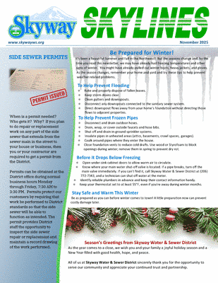SKYLINES NEWSLETTER - NOVEMBER 2025