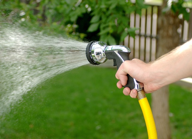 Hose nozzle spraying water on a green lawn